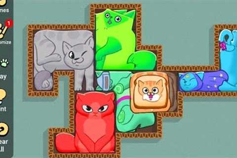 Puzzle Cats - Gameplay Walkthrough (iOS &amp; Android) #games #funny