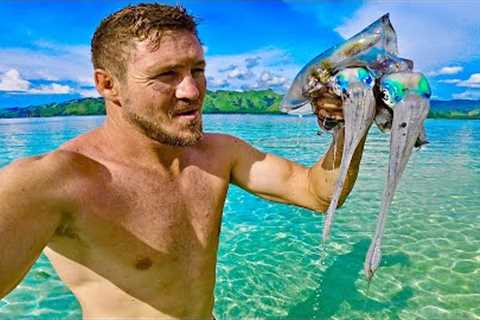 Tropical fish and Squids catch and cook Full Day vlog Find a Wild Cat!