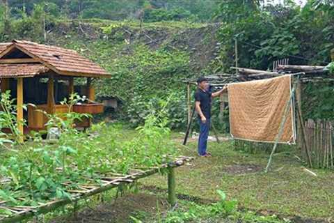 Hoeing the land Planting long beans, Making clothes drying racks, Cleaning home