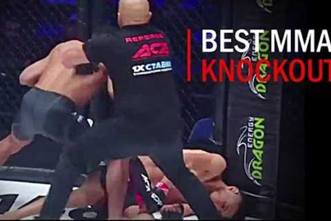 MMA's Best Knockouts of November 2022, HD | Part 1