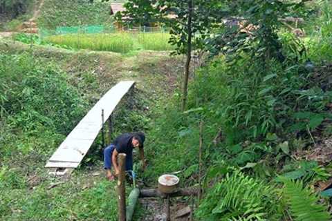 Installing a water system to the farm, Take the wild pineapple to plant. Forest life skills | Ep.469
