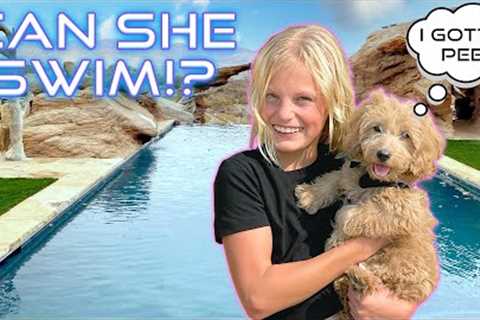 Teaching our Puppy to Swim! HER FIRST TIME!