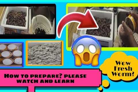 TIPS HOW TO PREPARE FRESH WORMS HABITAT || WATCH &amp; LEARN #shortvideos #shorts #tips #baits..