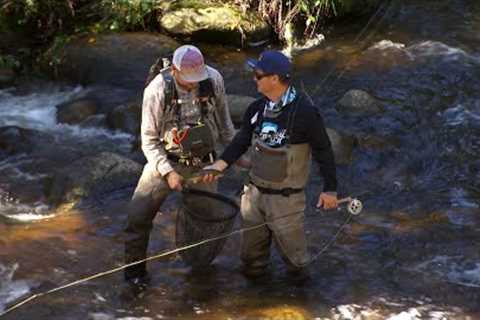 IFISH - Fly Fishing basics in Victorian High Country ! #SIMPLE