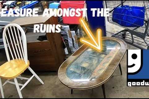 Goodwill Thrift Along with Us in Lancaster Pa!