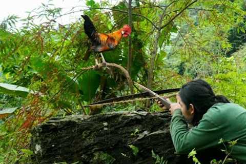 skills, shooting wild chickens, survival alone, survival instincts