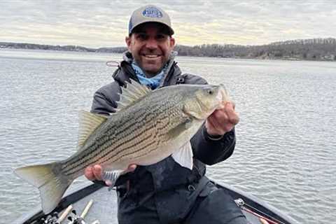 Lake of the Ozarks Fishing Report, December 2, 2022