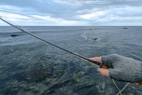 The Perfect Fishing Day to End the Year - Fly Fishing for Sea Trout
