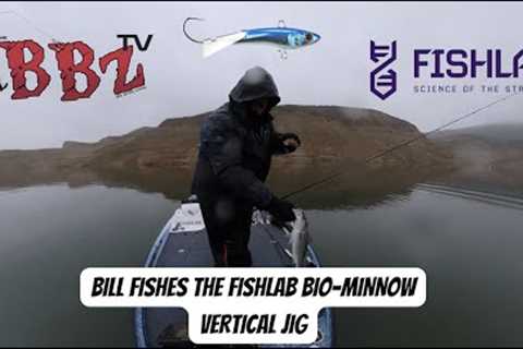 How To Fish The FishLab Bio Minnow Vertical Jig w/Bill Siemantel @ Castaic Lake