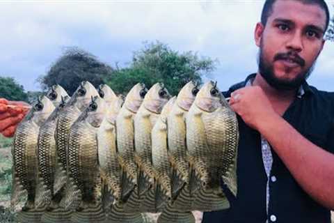 catching fish in lake -  cooking lake fish Recipe -  korali fish | Village Food Srilanka