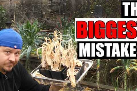 5 Mistakes From My Garden This Year