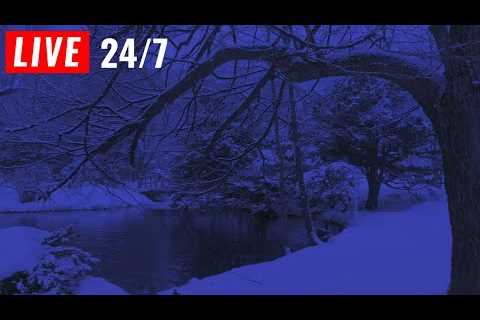 🔴 Snow Falling on Lake for Sleeping, Insomnia, Relaxing, Meditation, reduce Stress