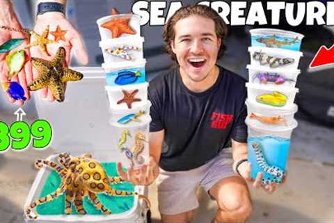 I Bought EVERY SEA CREATURE From The Store For SALTWATER SHARK POND!
