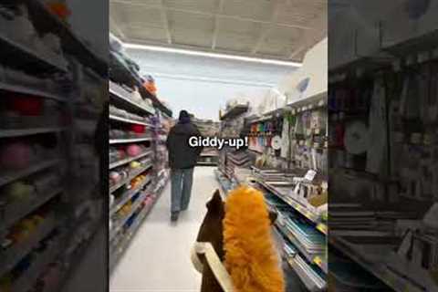 Horse Racing in Walmart then THIS happened 😂