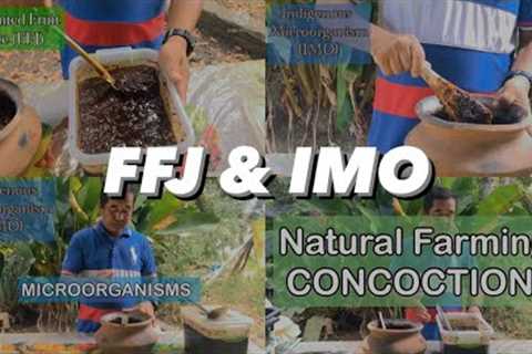 NATURAL FARMING | EP. 1 | Fermented Fruit Juice (FFJ) &amp; Indigenous Microorganism (IMO)