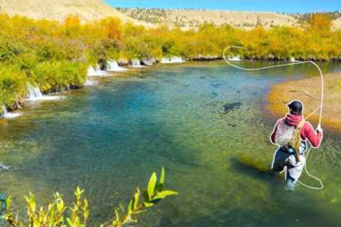 AMAZING FLY FISHING FOR BIG TROUT! (Streamer Fishing)