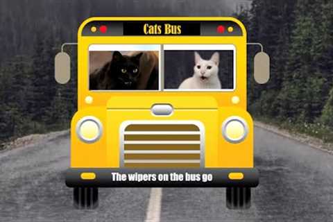 Cats SIng Wheels on the Bus | + More Nursery Rhymes &amp; Kids Songs - Cats Version