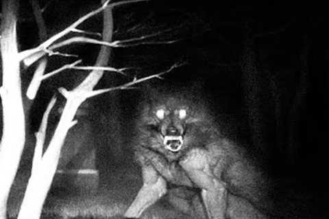 MOST DISTURBING PREDATOR ON TRAIL-CAM!