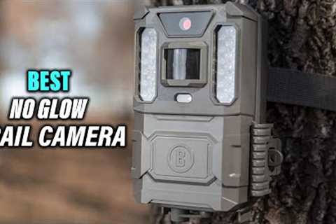 Best No Glow Trail Camera for Wildlife Monitoring Hunting in 2022 - Top 5 Review