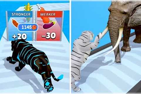 MAX LEVEL in Cat Evolution Game!