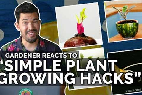 Gardener Reacts to Simple Plant Growing Hacks