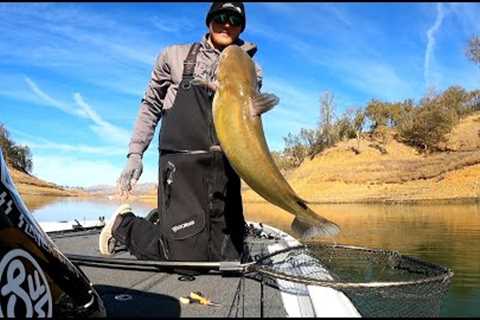 Lake Berryessa Fishing Report Nov 19-26th 2022