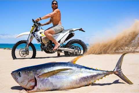 I BOUGHT A MOTORBIKE and went FISHING! Catch Clean Cook