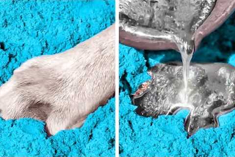 Awesome Hacks And Gadgets Every Pet Owner Should See