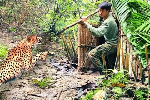 Survival skills, wild boar detection, wild chicken trap skills, survival alone