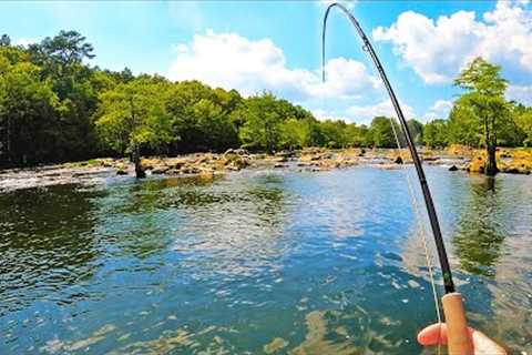 Fly Fishing: Crazy Rare NEW Species! (CATCH CLEAN COOK) - #FieldTrips Oklahoma