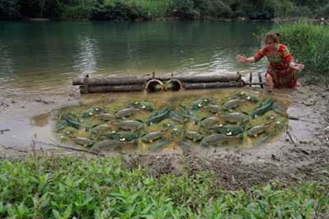 Survival Skills: Build Smart Fish Traps with Bamboo Tubes, Catch Many Carp, Carp Breeding Season