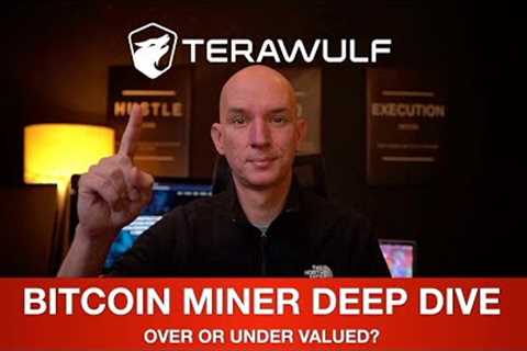 TERAWULF BITCOIN MINER - DEEP DIVE! OVERVIEW, PERFORMANCE, FINANCIALS &amp; CONCERNS! BITCOIN VS..