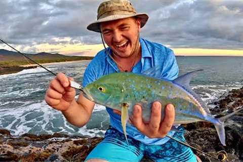 SOLO Fishing &amp; Exploring Hawaii!!! Bluefin Trevally &amp; Reef Fish! (Did the Sea Turtle lay..