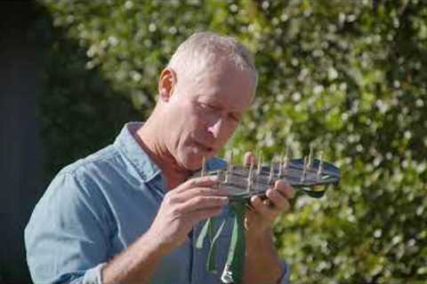 The Garden Gurus - Lawn Care Tips Going into Spring