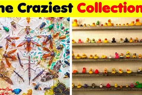 Odd Collections..