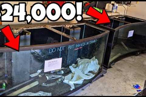 MONSTER Aquarium! Buying $24,000 Worth of BIG Fish Tanks!