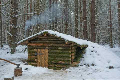 Building a small house in the winter woods, Shelter from fallen trees, Log Cabin
