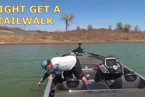 Colt Farris Fishing Lake Grapevine 4-3-2022 Media Bass Solo