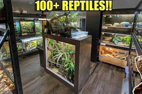 RARE REPTILES + AMPHIBIANS EVERYWHERE!! Reptile Room Tour December 2022!!