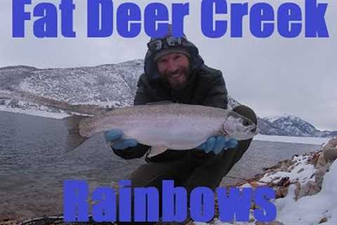 Fast action December fly fishing at Utah's Deer Creek Reservoir
