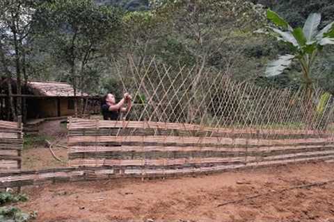 Primitive Skills: How to build bamboo fence to prevent wild chickens from entering the garden ep.200