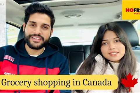 Grocery Shopping in Canada | No Frills | Monthly Expenses | Grocery Prices in 2022