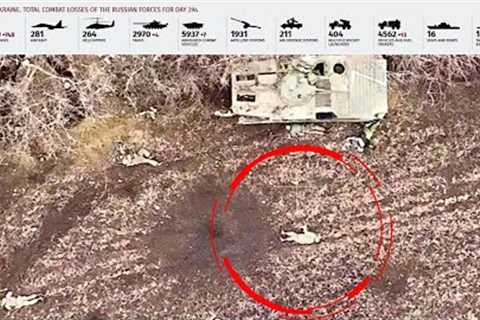 What's going on at the front now?🔥ukraine war video footage 2022