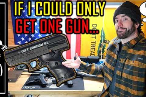 If I Could Only Buy and Own One Gun Right Now