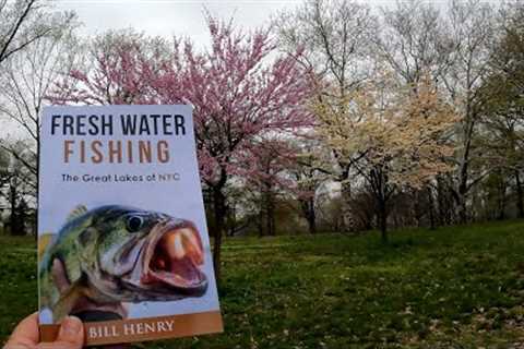 New York City Fishing - KISSENA LAKE PARK in Flushing Queens - Bass Crappie &amp; Bluegill on the..