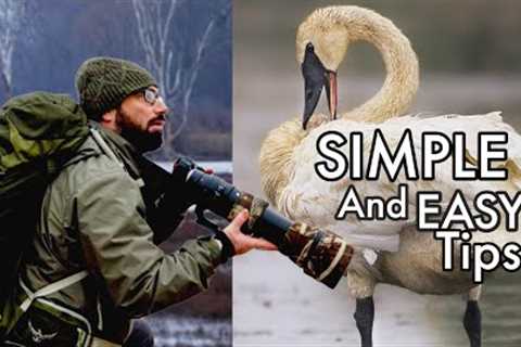 Three SIMPLE Tips for Wildlife Photography | Composition TECHNIQUE for BETTER Photos