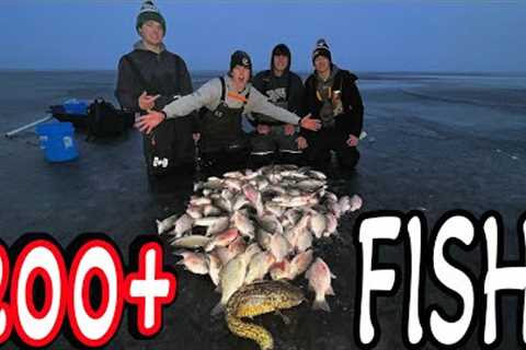 Lake Poygan EARLY ICE!! (Insane)