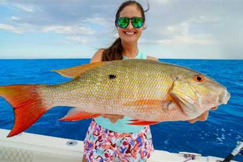 Fishing after HURRICANE! Snapper Catch, Clean &amp; Cook!
