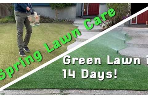 Spring Lawn Care | Green Lawn in just 14 Days!