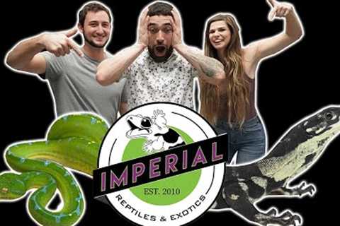 Reptile Shop Tour at Imperial Reptiles